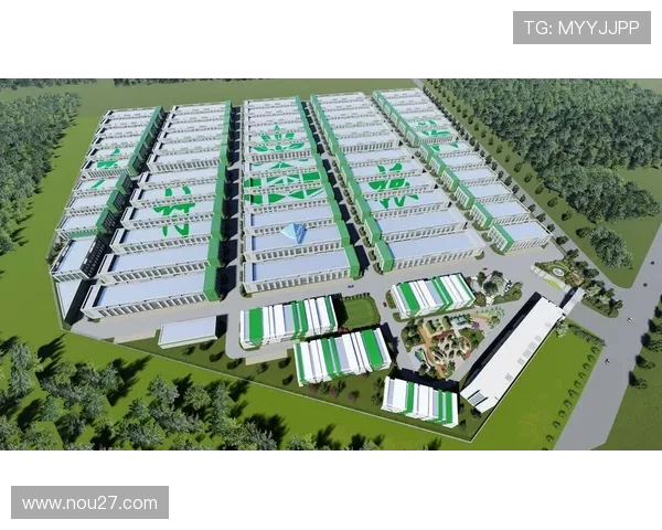 《德甲俱乐部股份制结构分析及财务运作方式》